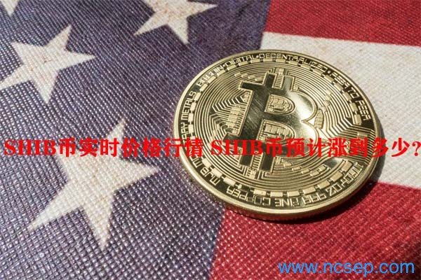 shib币实时价格行情shib币预计涨到多少