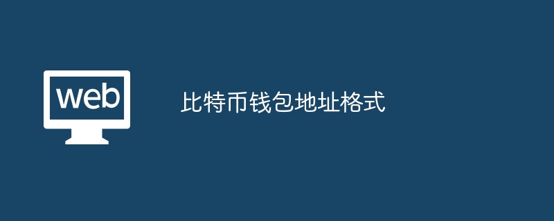 比特币钱包地址格式